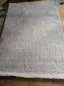 5ft x 7ft Beige Shag Rug 