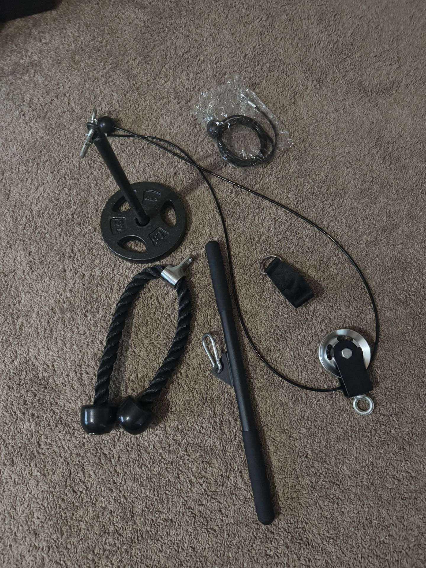 Fitness LAT and lifting pulley system