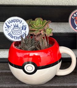 Pokémon Poké Ball coffee mug w/succulent plants