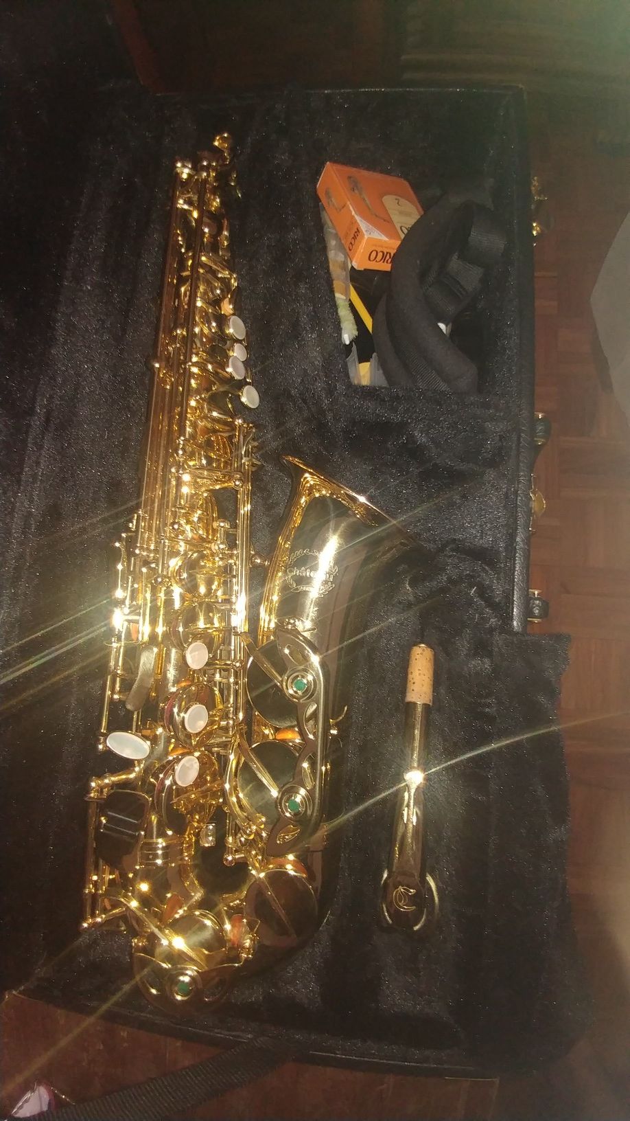 Chateau 🎷 Alto Saxophone