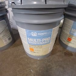 Interior White Paint 5 Gallon