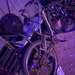 Mongoose Mountain Bike 