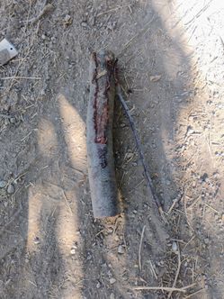 Almond BBQ/firewood