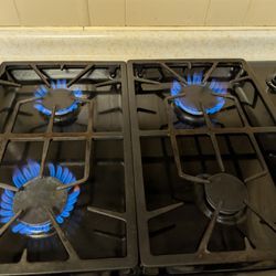 Thermador 30 Inch Stove Top