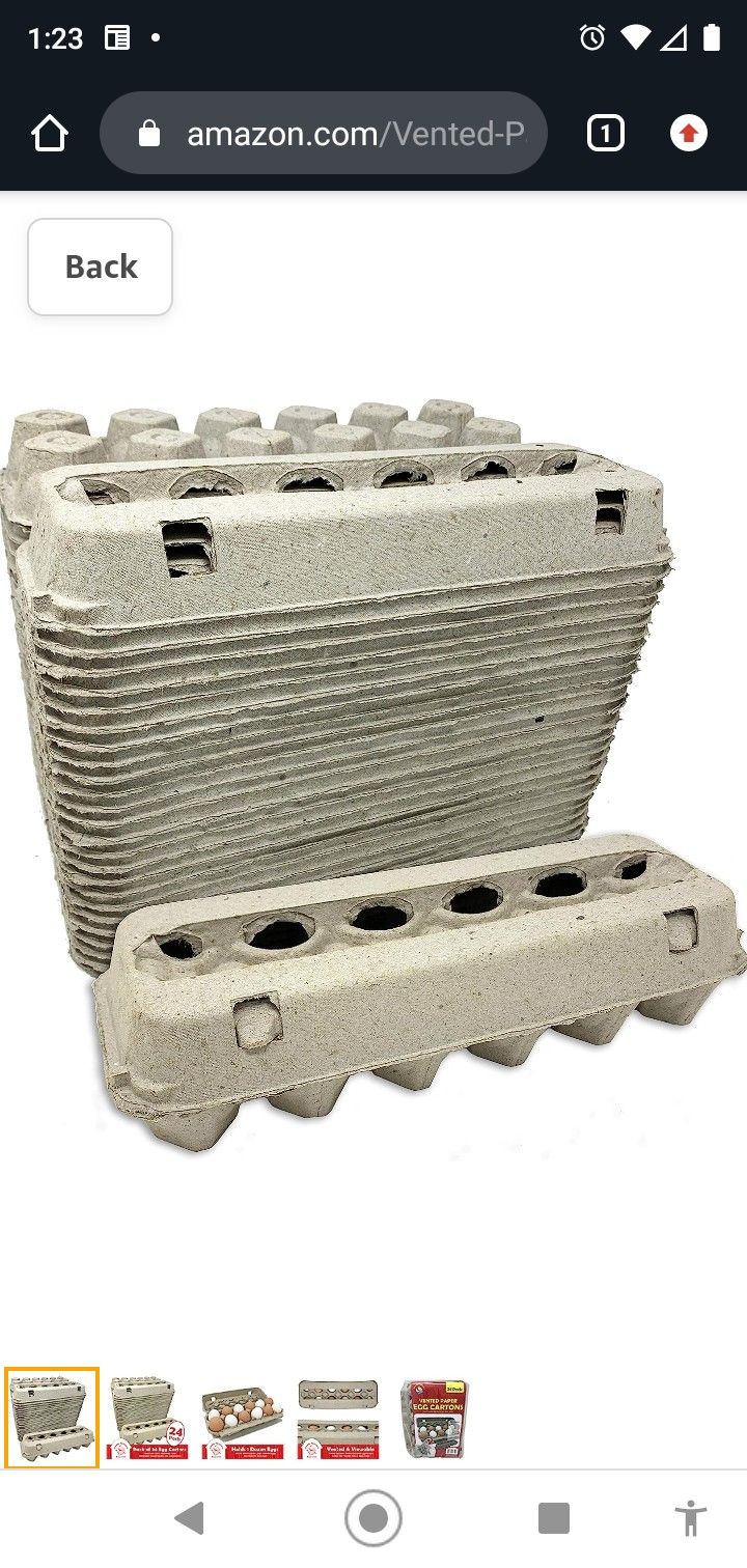 Egg Cartons 250 Count