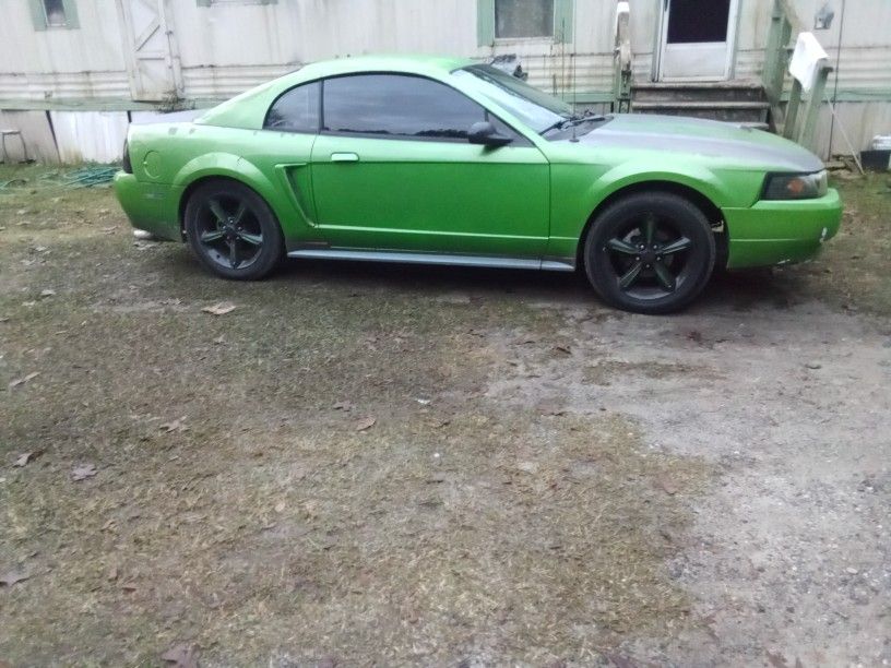 V6 Mustang For Sale 