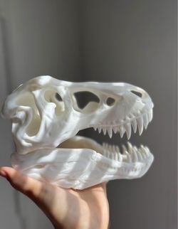T-Rex Skull Scaled