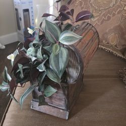 Variety Greenery Decors