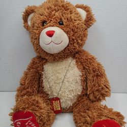 Build A Bear 15” Disney High School Musical Teddy Brown Bear Plush W/ Dog Tag