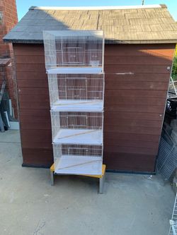 Bird cage new