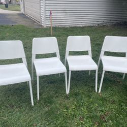 Dining Chairs
