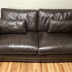 Sleeper Sofa Leather 