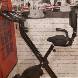 Foldable Exercise Bike With Backrest (Workout Collection)