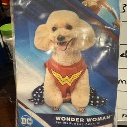 Dog Wonder Woman Costume 