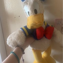 Donald Duck 