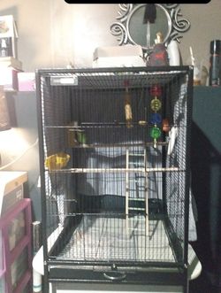 Bird Cage - Lightly Used
