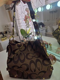 Free brown bag/purse
