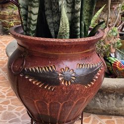 large plant pots with plants. 