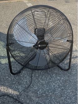 Fan
