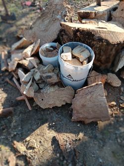 Handpicked Chunks Of Oklahoma Pecan Ready For Smoking