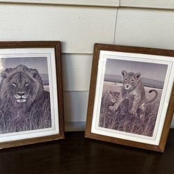 80’s Safari Print by Larry Jacobsen, MCM Safari Lions Wall Art, Safari Litho, Mid Century Wall Art Set Decor 