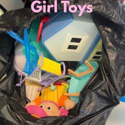 Toddler Girl Toys