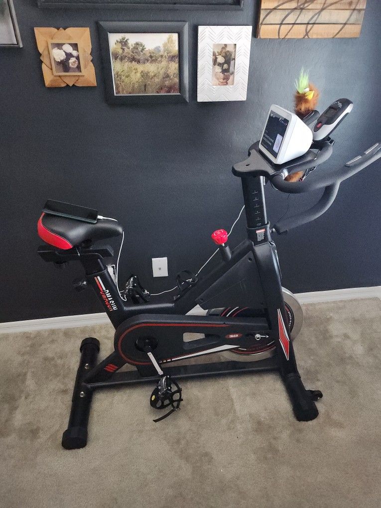 DMASun Exercise Bike