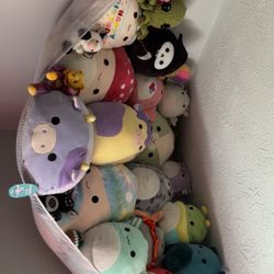 Squishmallows (READ DESCRIPTION!!)