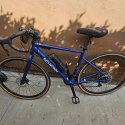 Lost/found schwinn bicycle blue