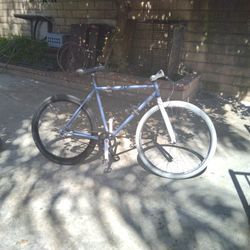 29 Inch Fixie (Optional)