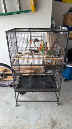 🦜 parrot cage