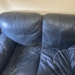 Two Cushion Leather Couch 