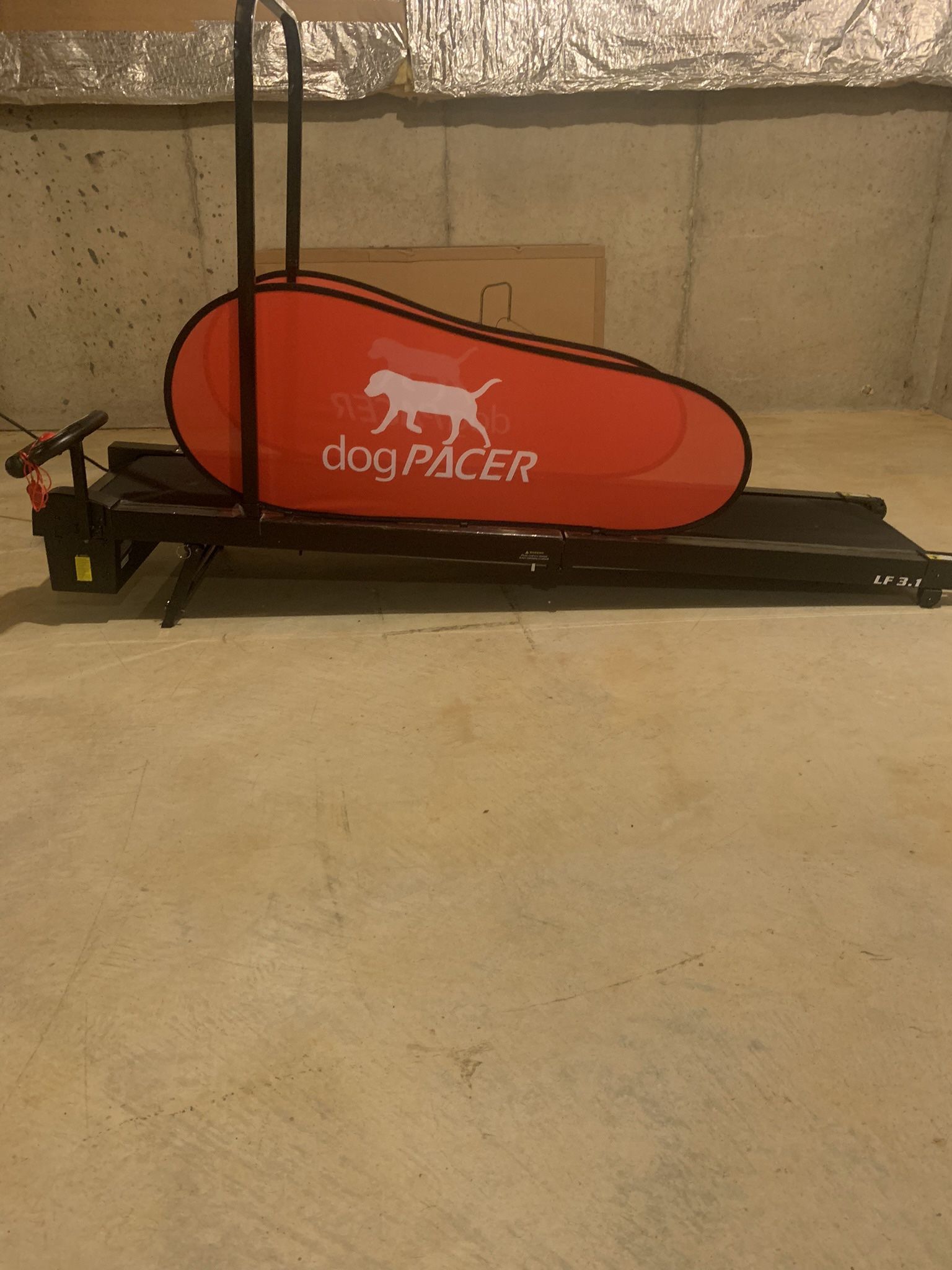 Dog Treadmill