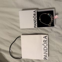 Pandora Bracelet with cinderella charms