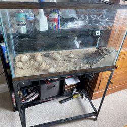 Aquarium Tank With Stand 