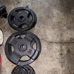 💪 Olympic Weight Plates – 190 lb Total – Great Condition