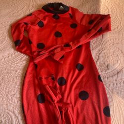 Ladybug Custome
