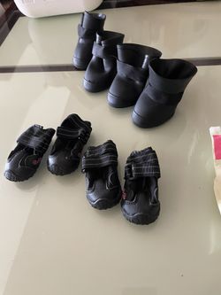 Zapatos Para Perros 