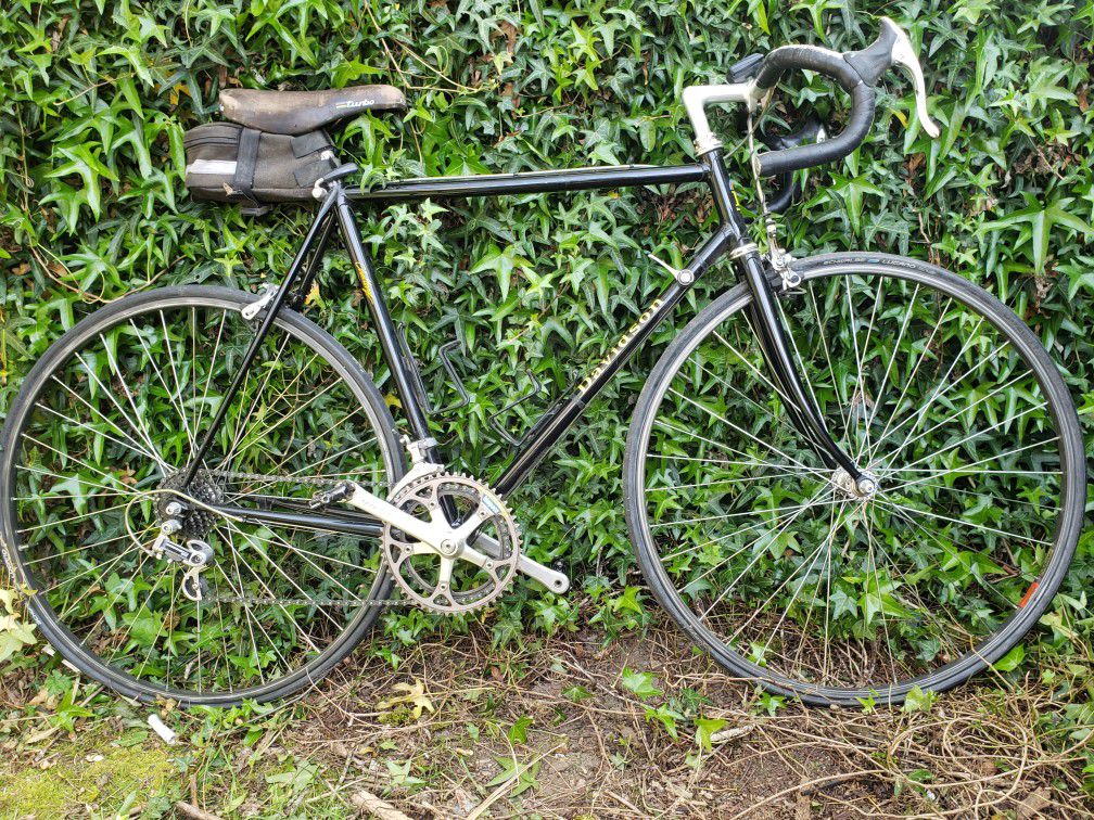 56 Cm Davidson Challenger Vintage Bike