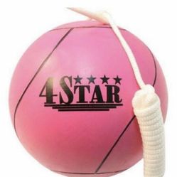 14 Dollars New Playset Toy 