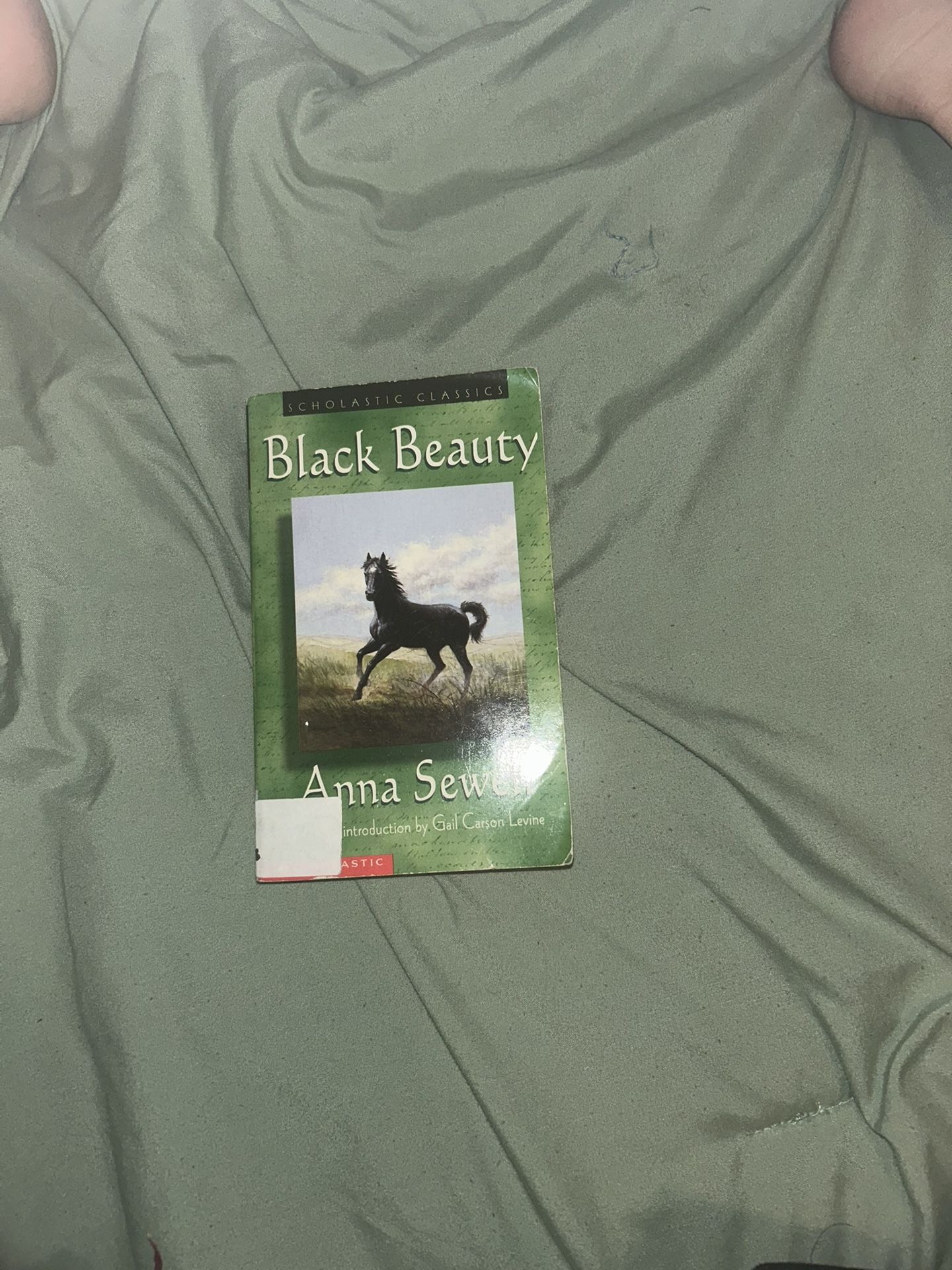 Black Beauty Book