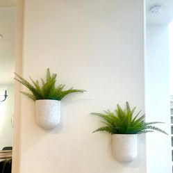 Potted Wall Plants 