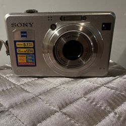 Sony Cybershot DS-W100 Camera 