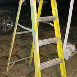 Warner Fiberglass Ladder 