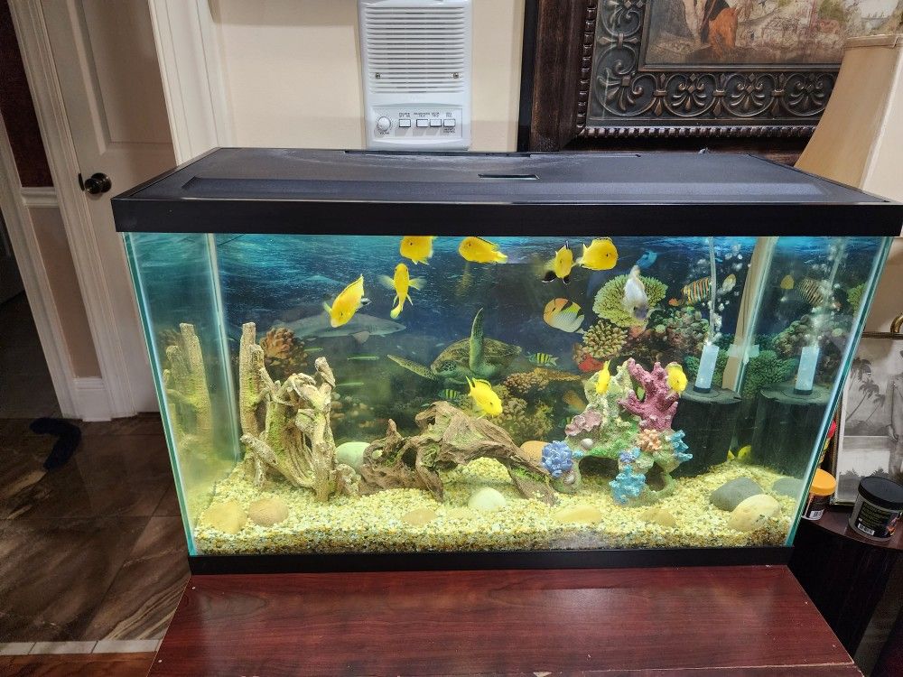 Aquarium For Sale