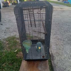 Nice Cage