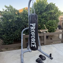 Everlast punching Bag