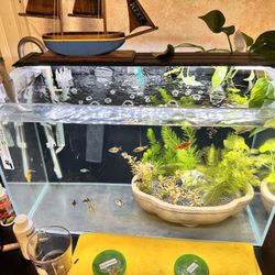 Waterbox Clear Mini 16 Aquarium Fish Tank