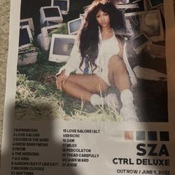sza poster ctrl