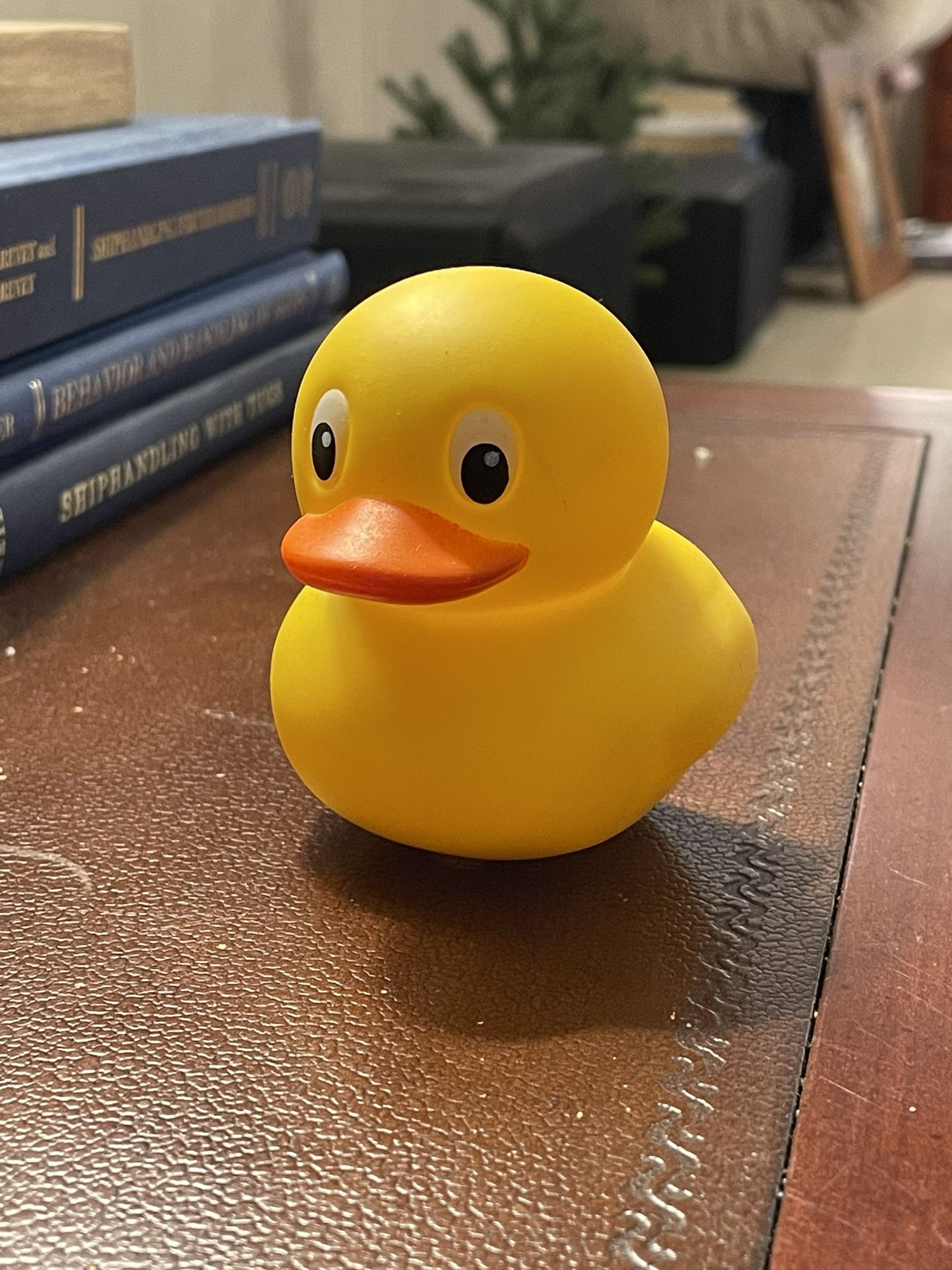 Greatest Rubber Ducky EVER!!!!! Light Up